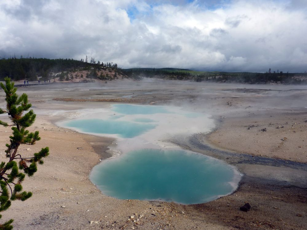Yellowstone Norris Geyser Colloidal Pool (1).JPG